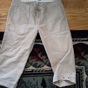 Abercrombie Long Shorts